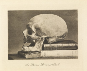 skull on books